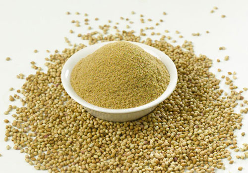 Coriander Powder